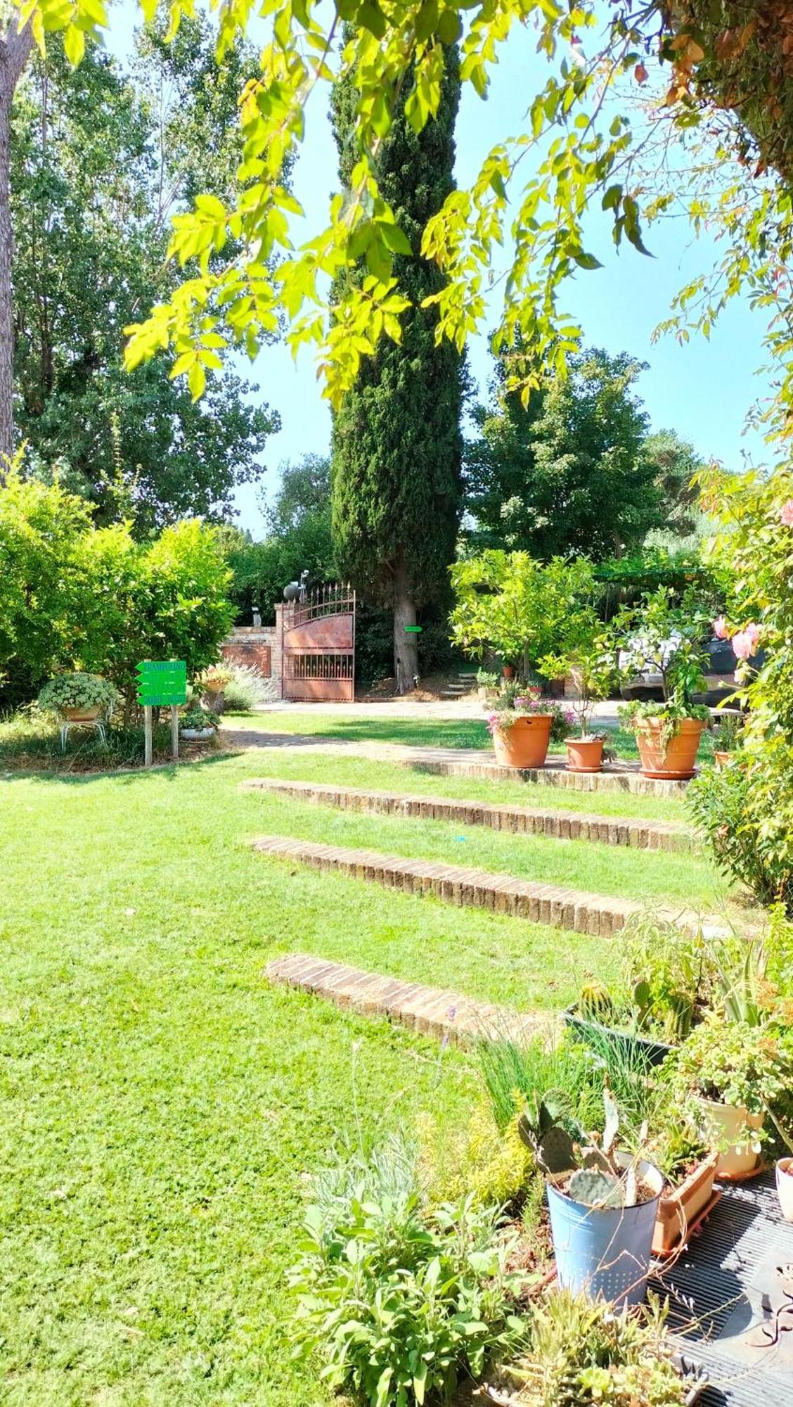 Ca' Dei Gelsi B&B Coriano Exterior foto